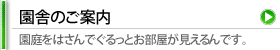 園舎のご案内 | 園庭をはさんでぐるっとお部屋が見えるんです。